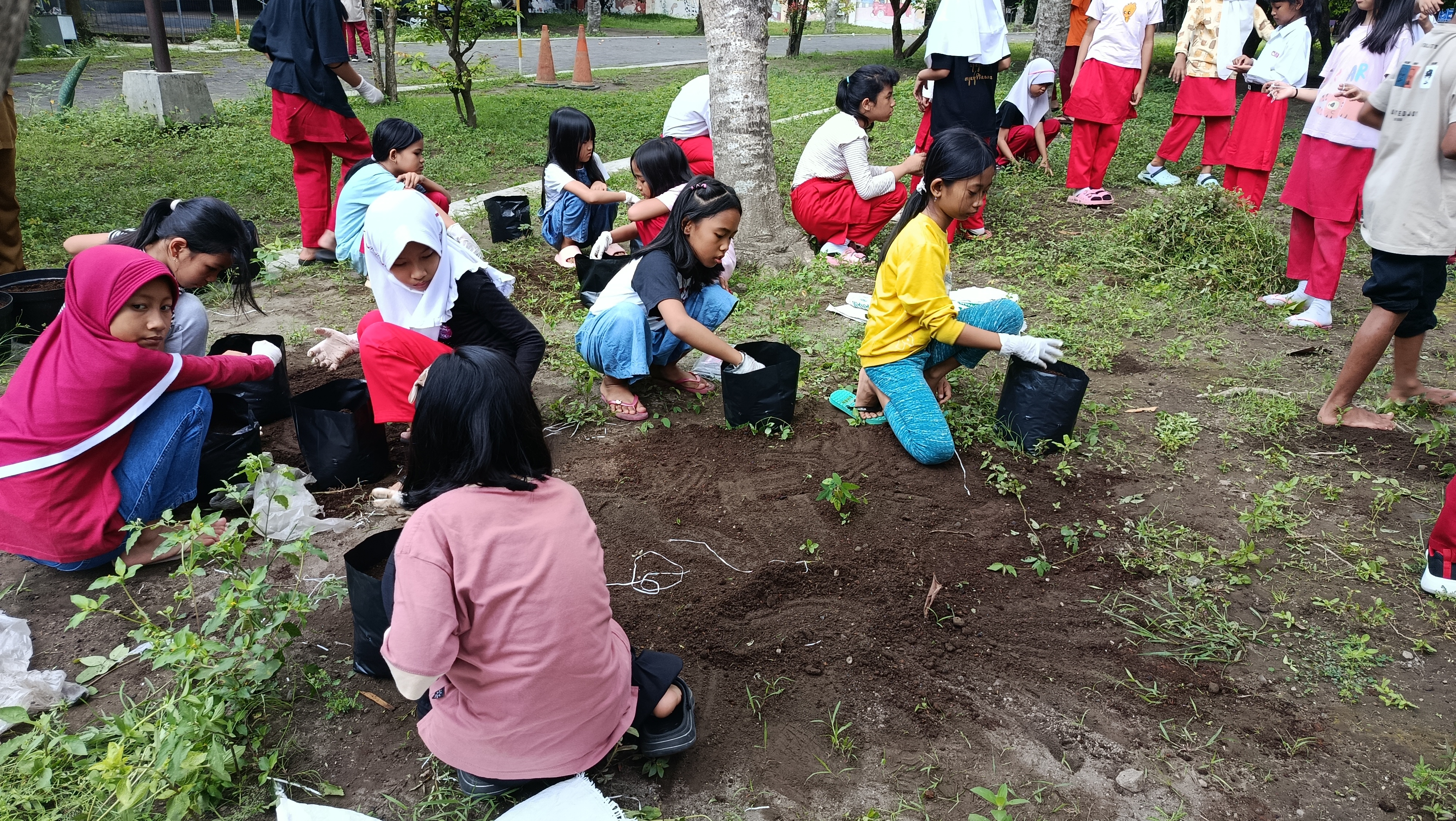 Siswa Kelas 3 SD Negeri Model Sleman Antusias Menanam Sayuran di Halaman Sekolah