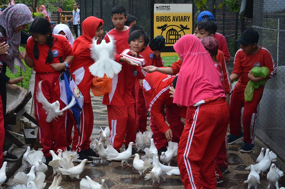 SD MODEL BERKUNJUNG KE CIMORY