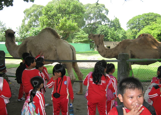 OUTING KE KEBUN BINATANG GEMBIRA LOKA