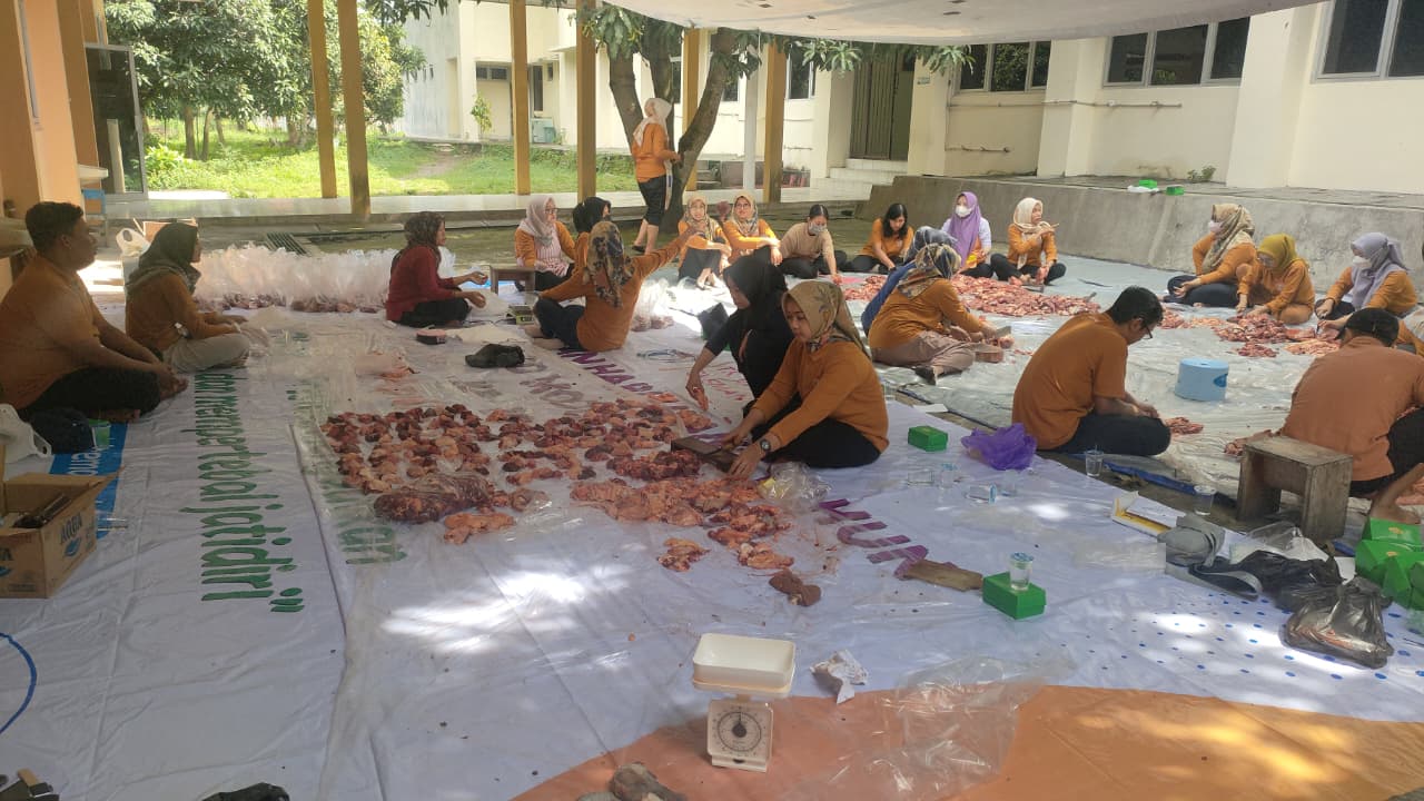 SD Model Sleman Laksanakan Kurban 2 Sapi dan 4 Kambing di Sekolah