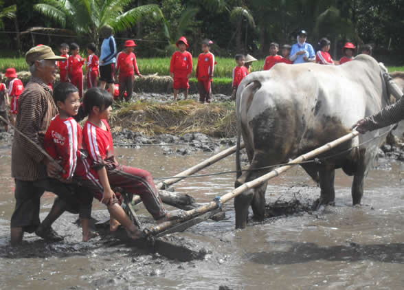 OUTING TEMA LINGKUNGAN