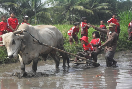 PEMBELAJARAN TEMA LINGKUNGAN