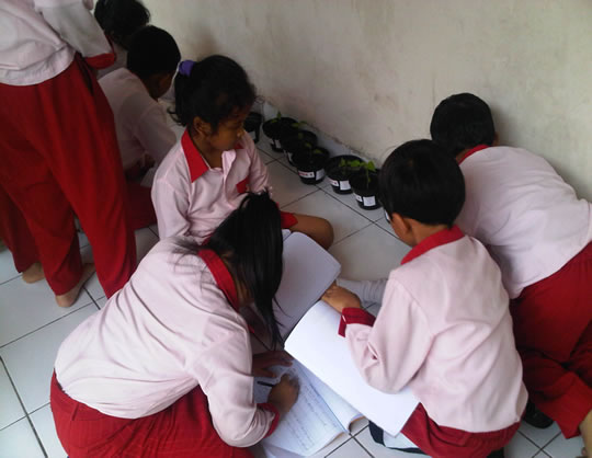 PEMBELAJARAN MATA PELAJARAN PENDIDIKAN LINGKUNGAN